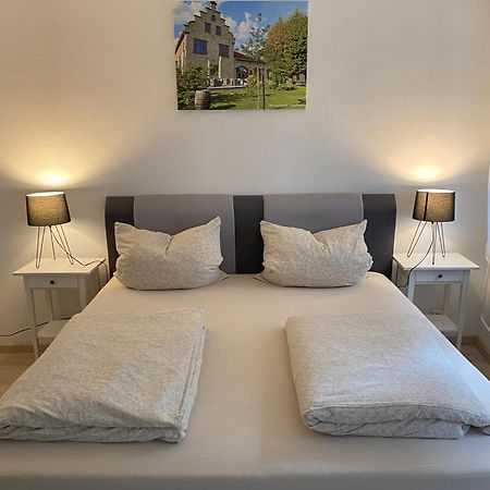 Ferienwohnung Stiegel انغلهيم ام رين المظهر الخارجي الصورة